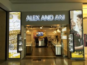 ALEX AND ANI Enterprise Nevada